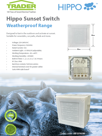 Sunset Switch Flyer