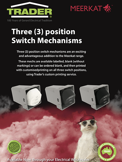 3 Position Flyer