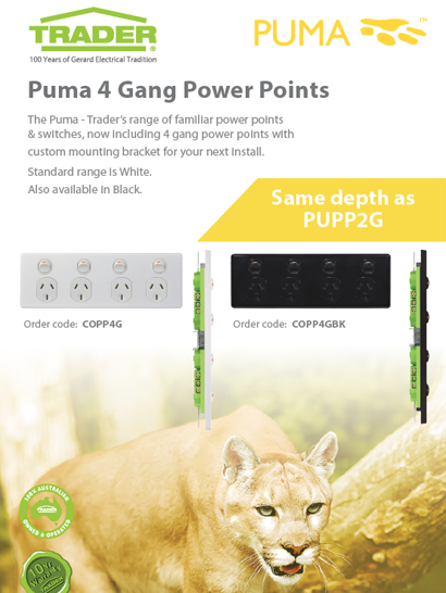 4 Gang Power Points Flyer