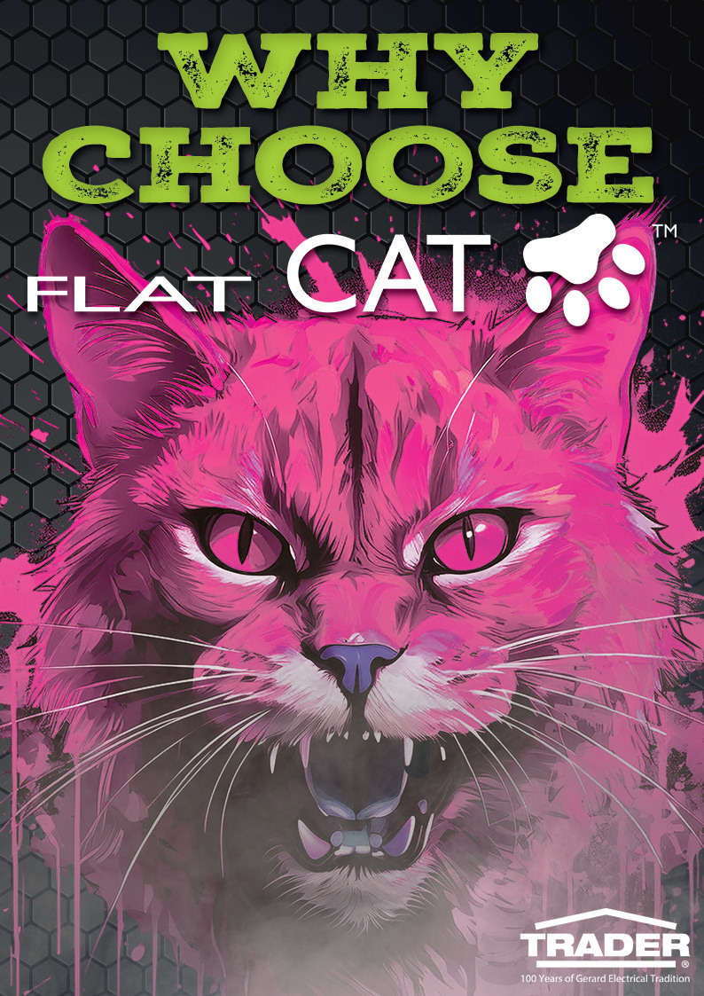 Why Choose Flat Cat