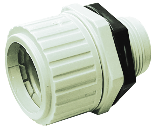 CBGSCC25L