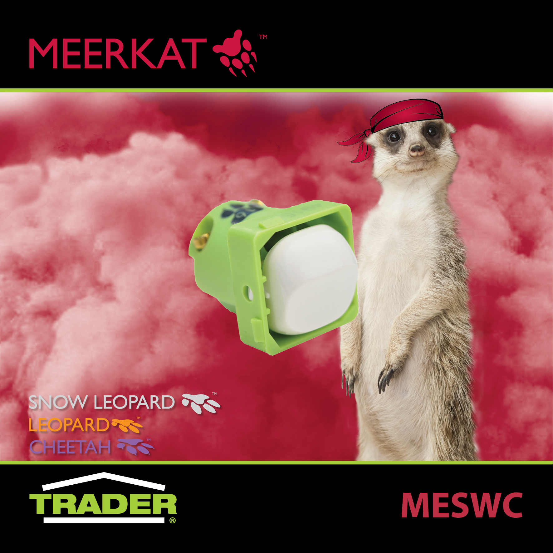 MESWC