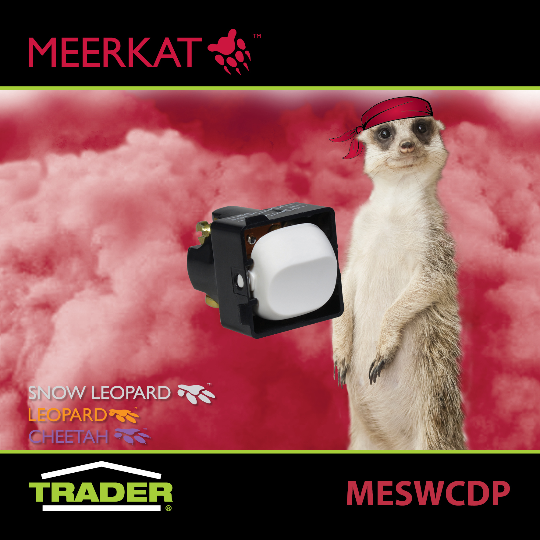 MESWCDP