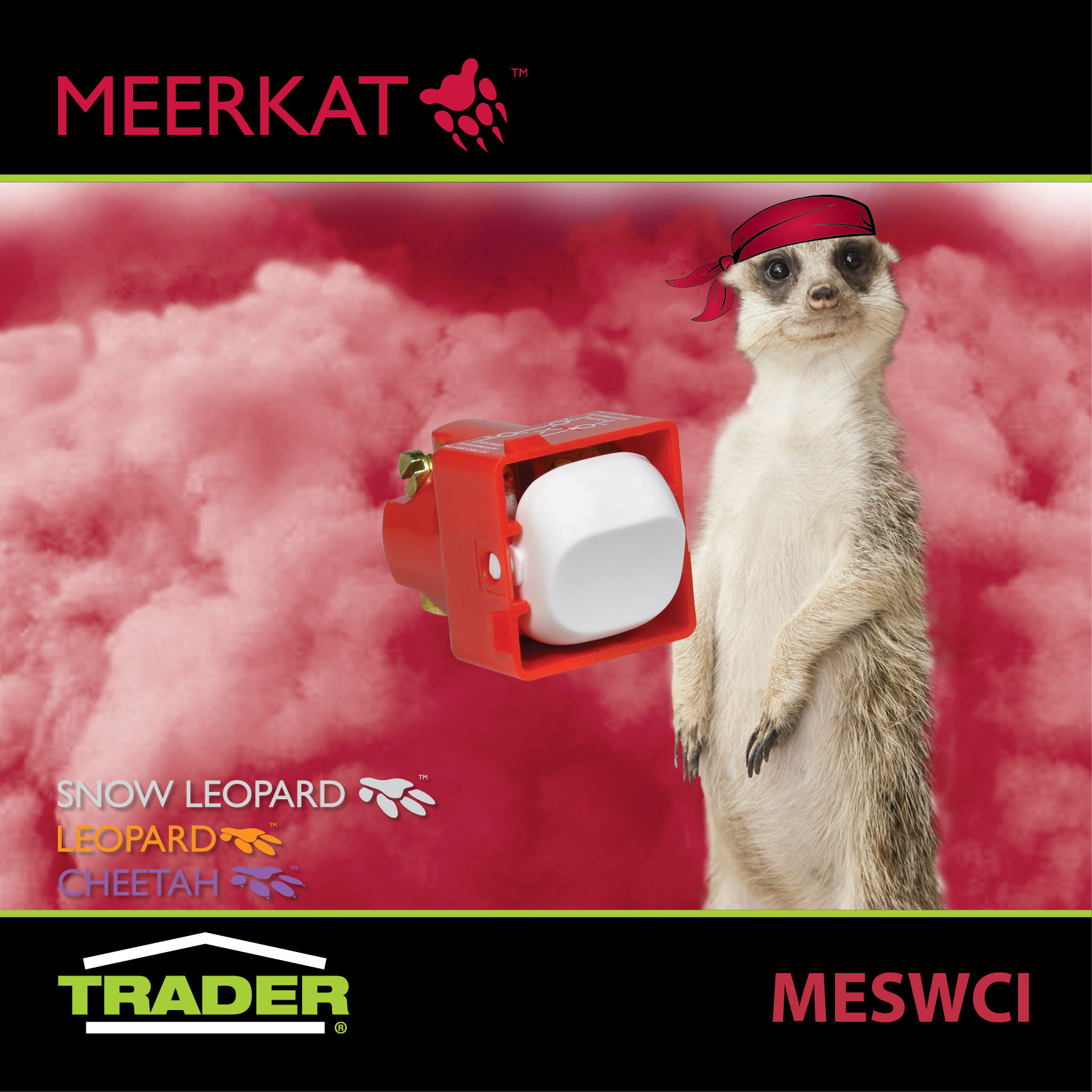 MESWCI