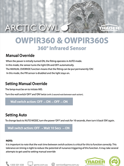 Arctic Owl Flyer