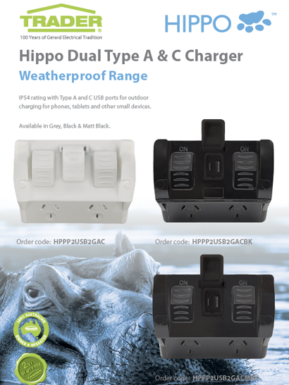 Hippo USB Flyer