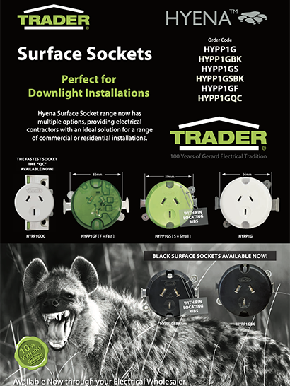 Hyena Surface Socket