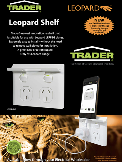 Leopard Shelf Flyer