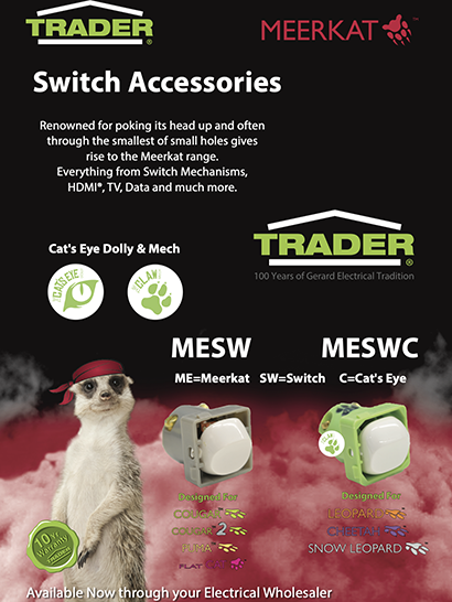 Meerkat Switch Flyer
