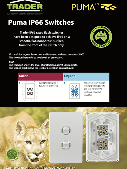 Puma IP66 Flyer