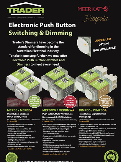 Push Button Flyer