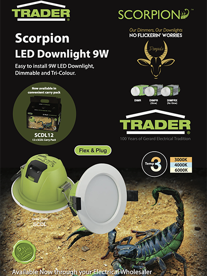 Scorpion SCDL Flyer