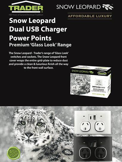USB Flyer