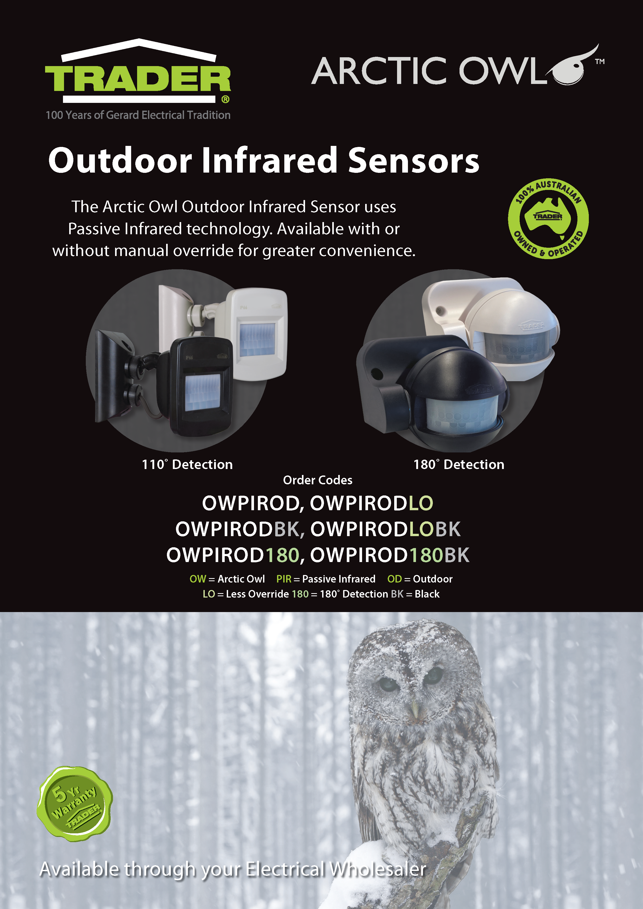 Arctic Owl Outdoor Flyer