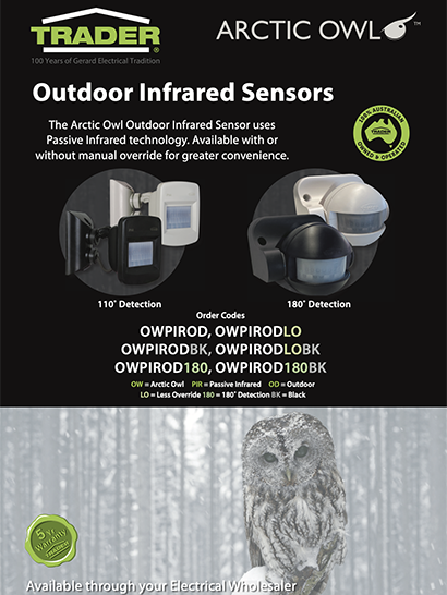 Arctic Owl Outdoor Flyer