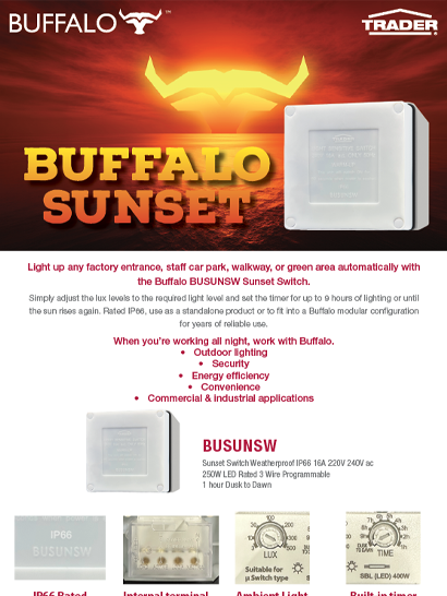 Sunset Switch Flyer