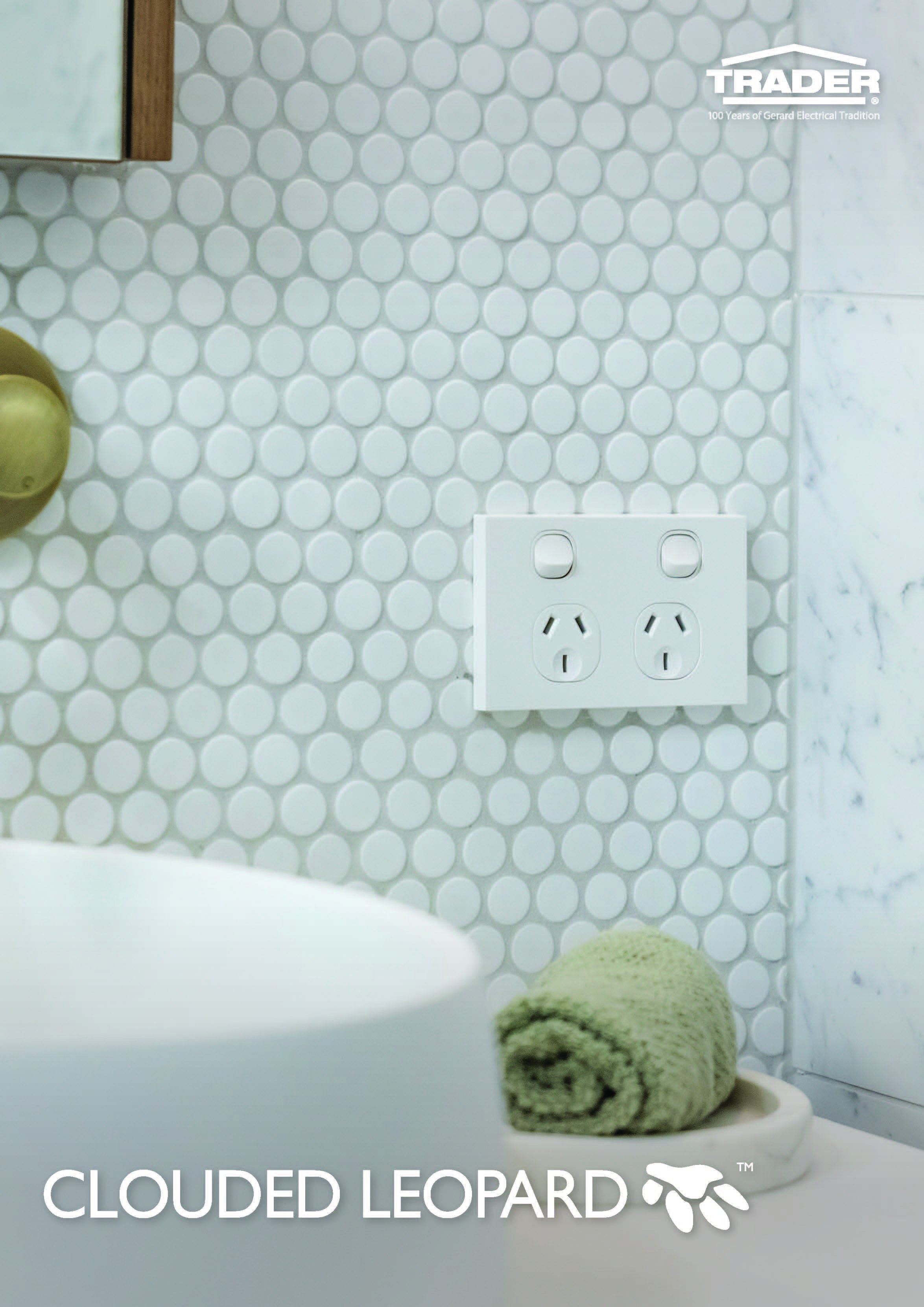 Clouded Leopard Consumer Brochure