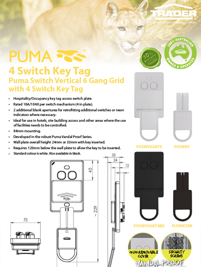 Switch Key Tag Flyer