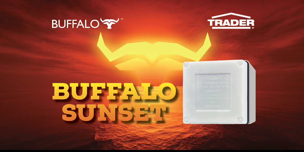 TT260 XXX Buffalo Sunset LN